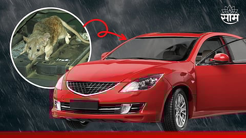 Car Care Tips
