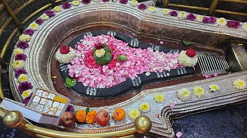 Bhimashankar Temple Mobile Ban