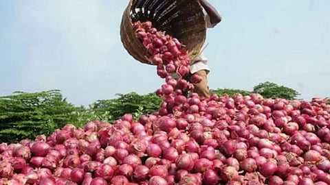 Onion Price