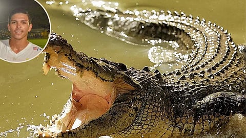 crocodile attack on football player