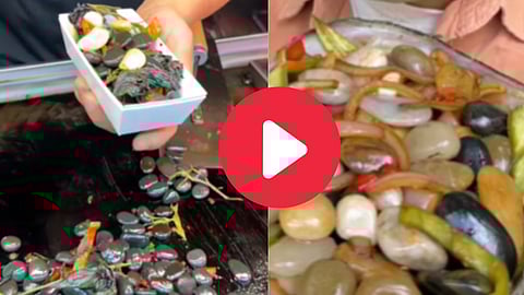 Fried Stones Viral Video