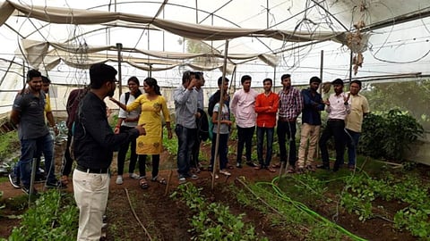 Krushi Vibhag Bharti