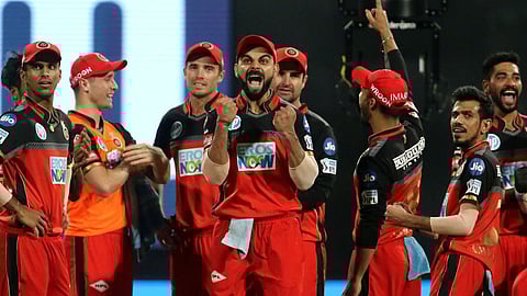 ipl 2024 andy flower appointed as new head coach of royal challengers bangaluru sanjay bangar mike hesson