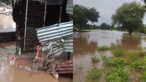 Buldhana Rain News