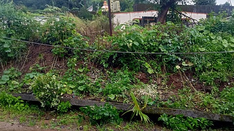 malingaon