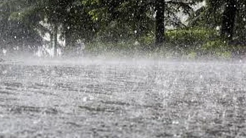 Rain Alert