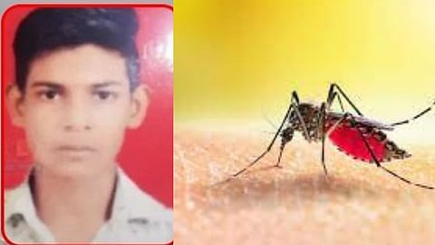 Jalgaon Dengue Disease