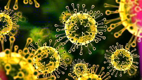 Nipah Virus Symptoms