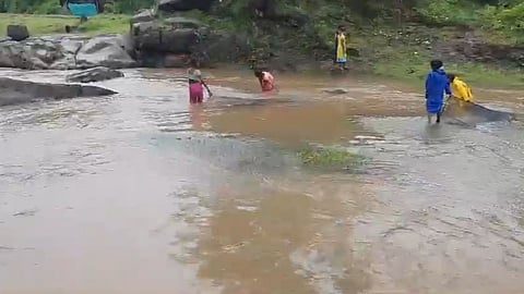 Palghar Accident News