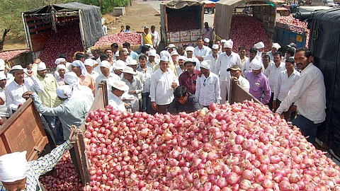 Onion Traders Strike:
