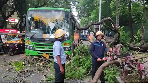Pune Breaking News tree fell on pmp bus on ferguson road driver injured