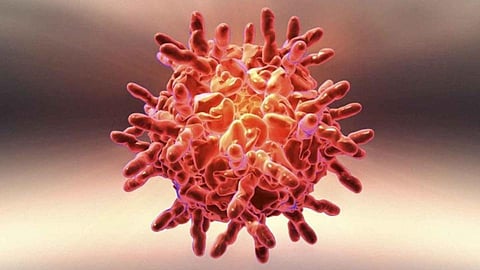 Disease X Virus