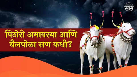 Pithori Amavasya And Bail Pola 2023