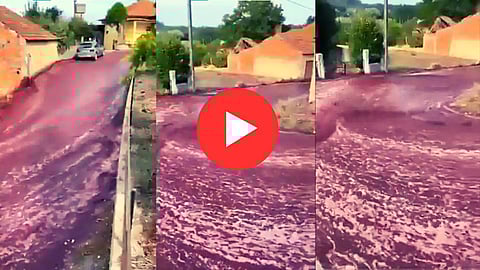 Red Wine Flood Video