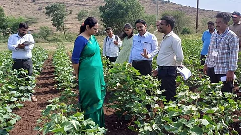 Collector Manisha Khatri