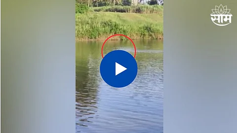 Sangli Video