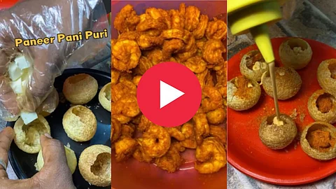 Veg Non Veg Panipuri