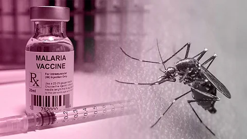 Malaria Vaccine