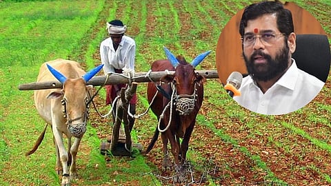 Farmer NAMO Yojana