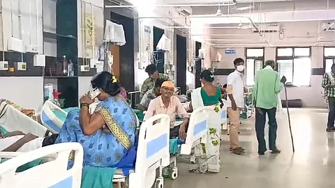 amravati, dengue