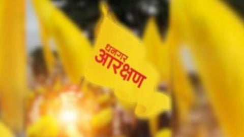 Beed News Dhangar Reservation