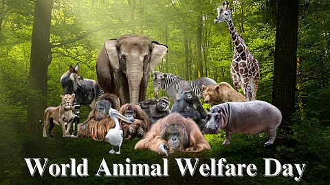 World Animal Welfare Day 2023