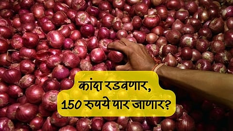 Onion Prices