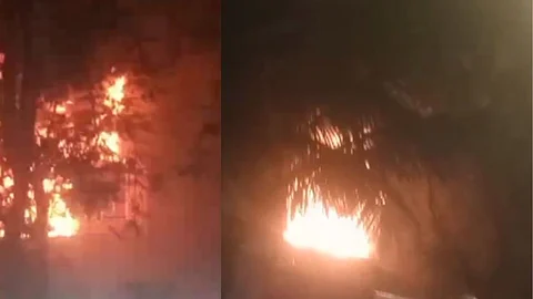 Mumbai Fire News: