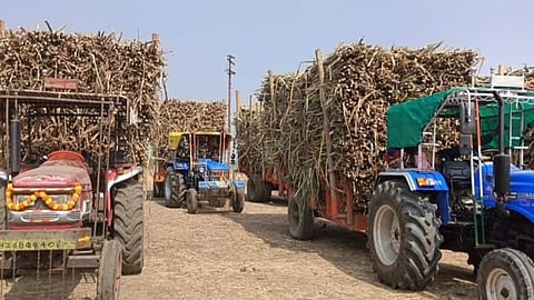 swabhimani shetkari sanghatana andolan in nanded