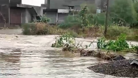 unseasonal rain hits yavatmal