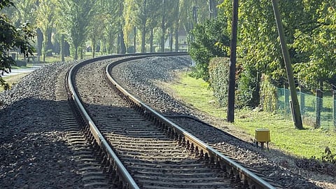 speeding train knocks tiger dead on rail track near kitali mendha