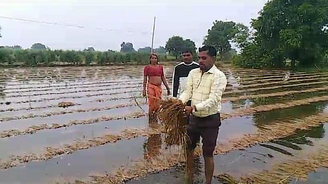 Nandurbar News
