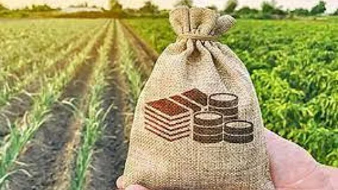 Crop Insurance