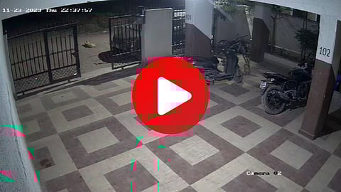 Pune Crime News