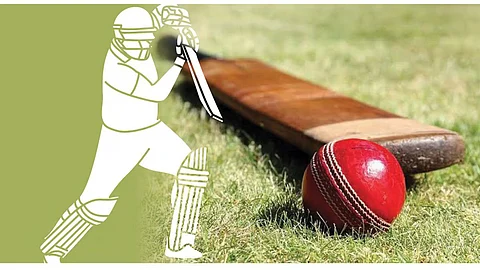 Why Cricket Bats are Wooden