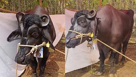 Amravati Agricultural Exhibition 2023