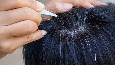White Hair Fact