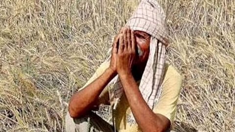 Beed News