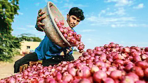 Onion Price