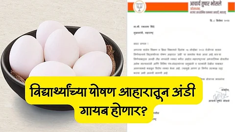 Eggs in School Nutrition