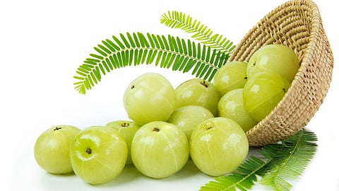 Amla Recipe