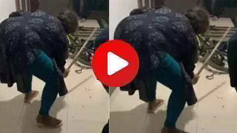 Woman Booked For Killing a Cobra