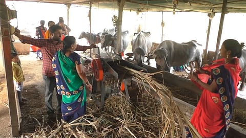 Nanded Women Group Dairy Business