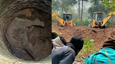 Elephant Fell Into Well In Jharkhanad