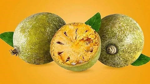Healthy Fruit