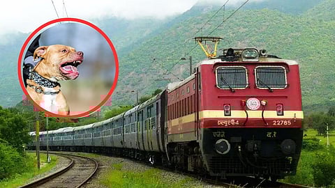 Rajasthan Brother And Sister Death