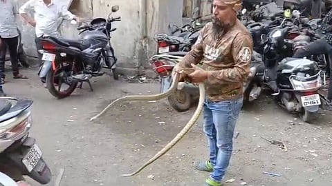 Kalyan Video