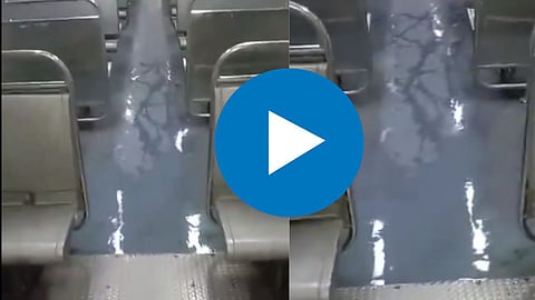 Viral Video