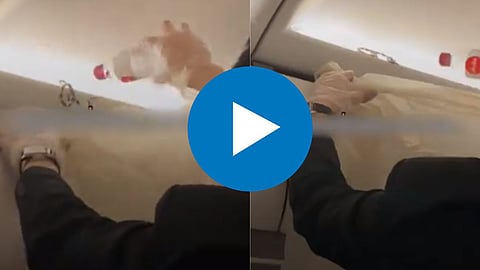 Viral Video