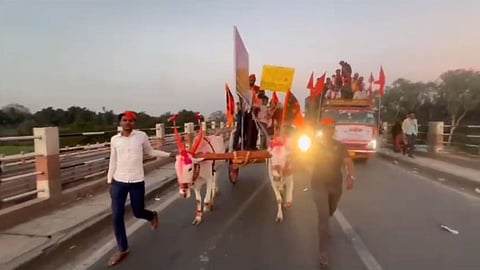 Beed Family Maratha Reservation